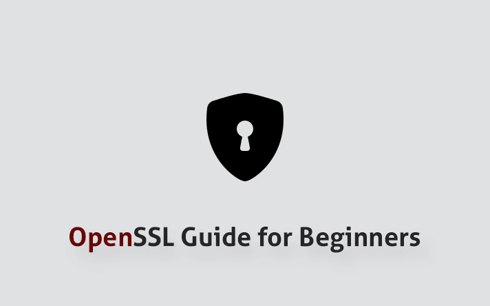 openssl-guide-for-beginners-savvytheme